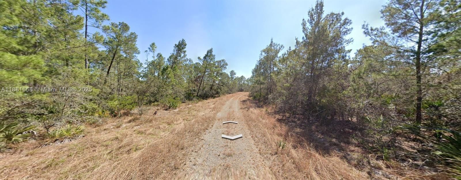 For Sale: $11,900 (0.24 acres)