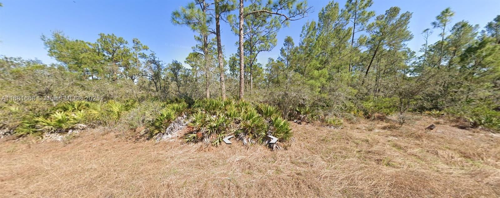 For Sale: $11,900 (0.24 acres)