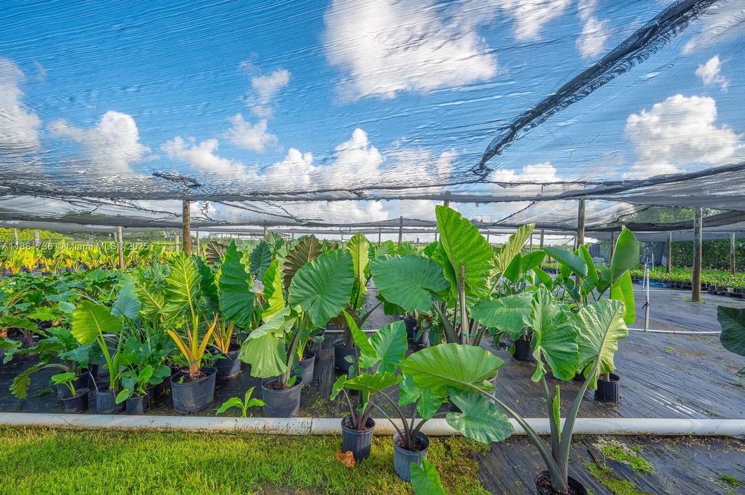 For Sale: $1,600,000 (0 beds, 0 baths, 0 Square Feet)