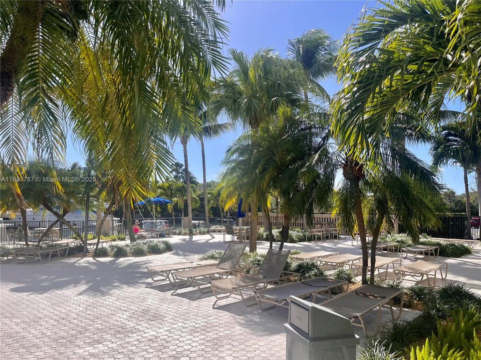 For Rent: $3,200 (1 beds, 1 baths, 910 Square Feet)