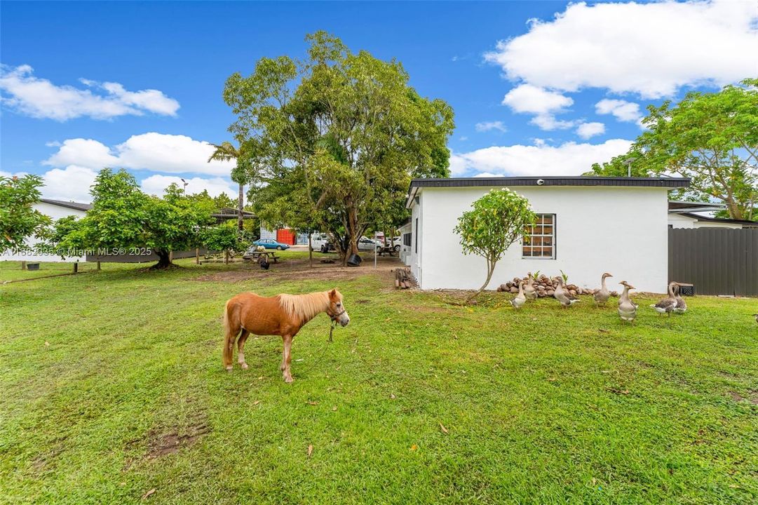 For Sale: $1,850,000 (8 beds, 5 baths, 4780 Square Feet)