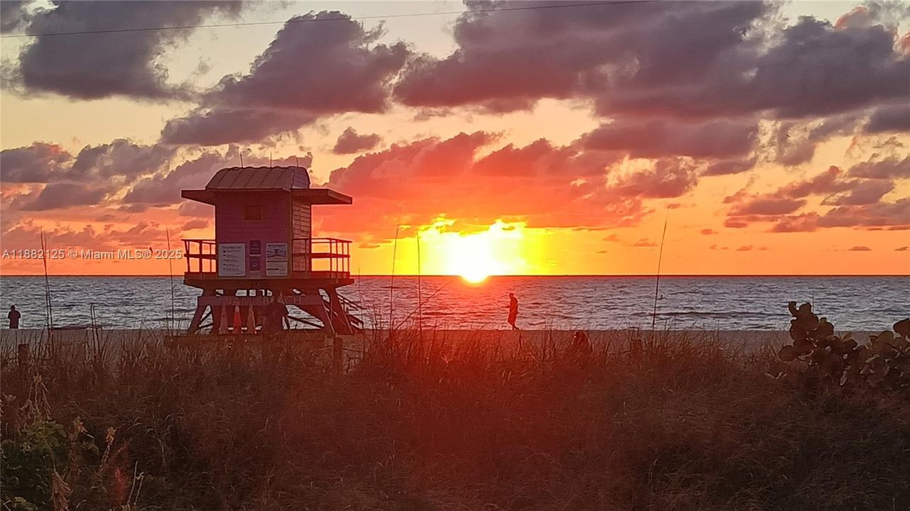 Под контрактом: $290,000 (1 спален, 1 ванн, 655 Квадратных фут)