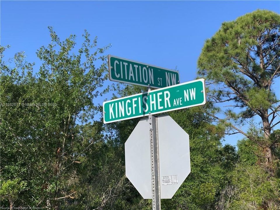 待售: $14,900 (0.23 acres)