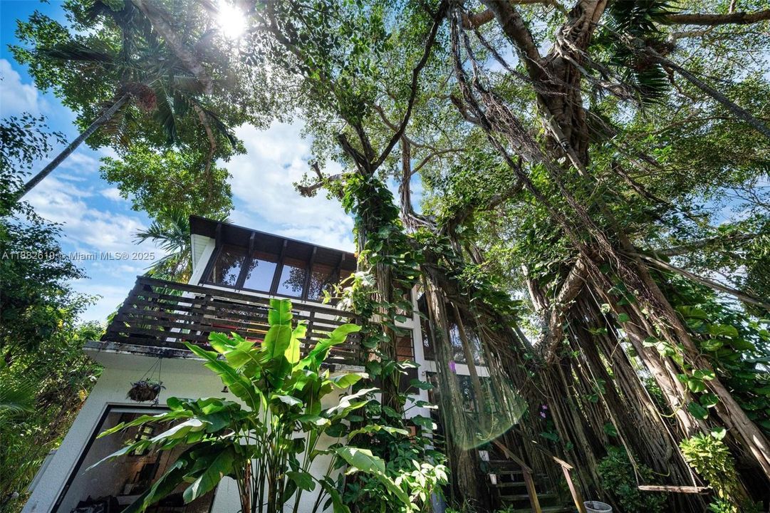 Под контрактом: $1,975,000 (3 спален, 2 ванн, 1734 Квадратных фут)