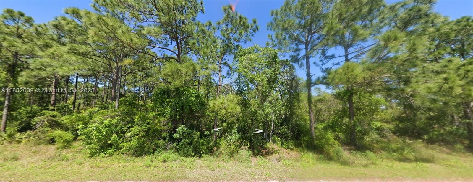 待售: $19,900 (0.25 acres)