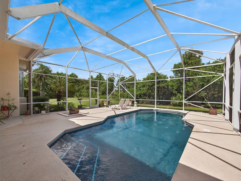 Gorgeous Pool