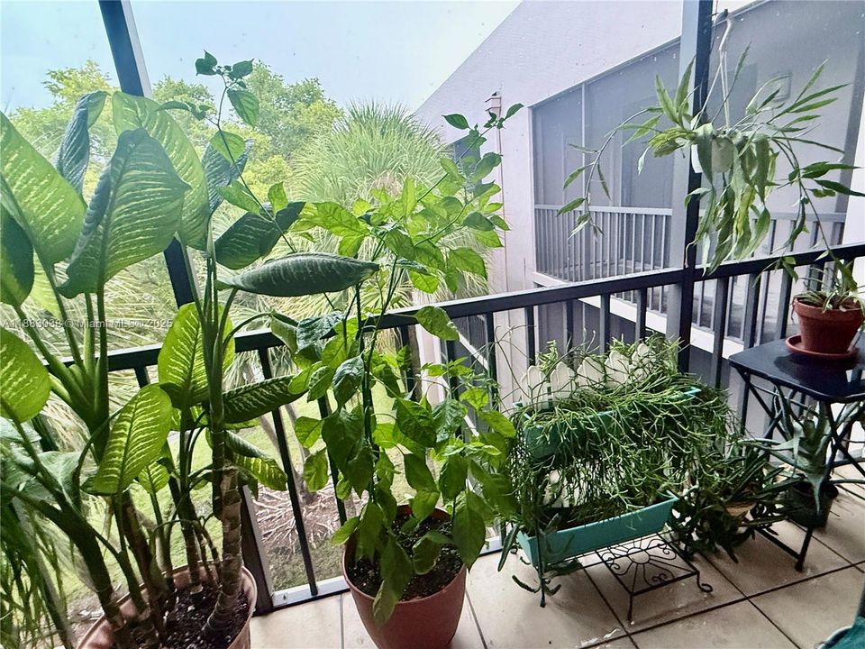 最近租的: $2,200 (2 贝兹, 2 浴室, 965 平方英尺)