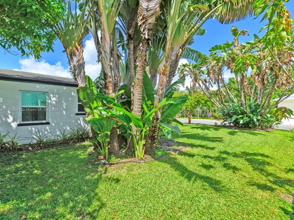 合同活跃: $1,675,000 (3 贝兹, 2 浴室, 1324 平方英尺)