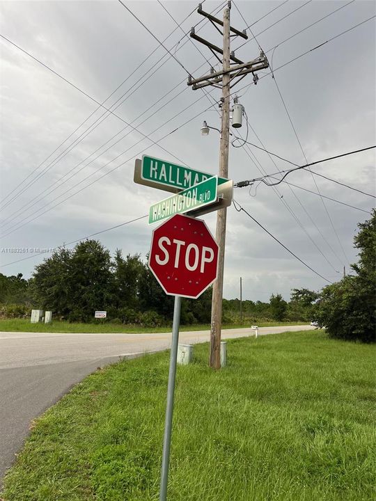 待售: $9,999 (0.26 acres)