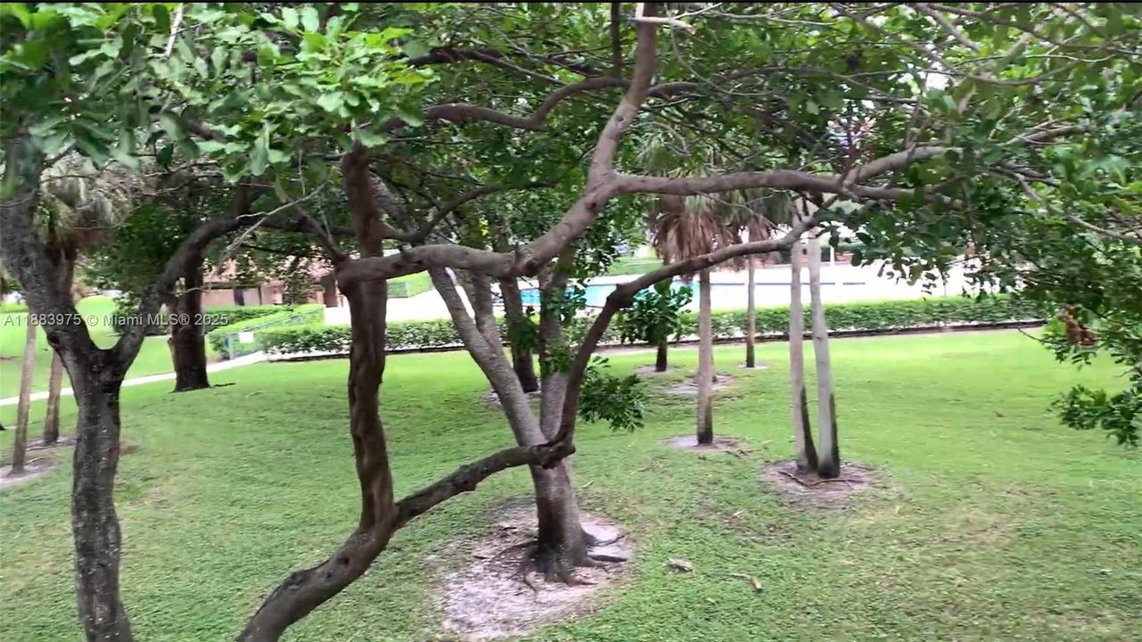 For Sale: $125,000 (2 beds, 1 baths, 819 Square Feet)