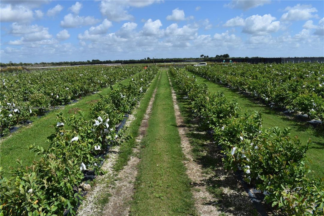 待售: $749,000 (0 贝兹, 0 浴室, 0 平方英尺)