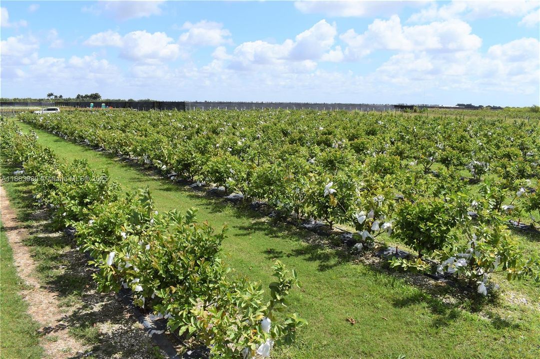 待售: $749,000 (0 贝兹, 0 浴室, 0 平方英尺)