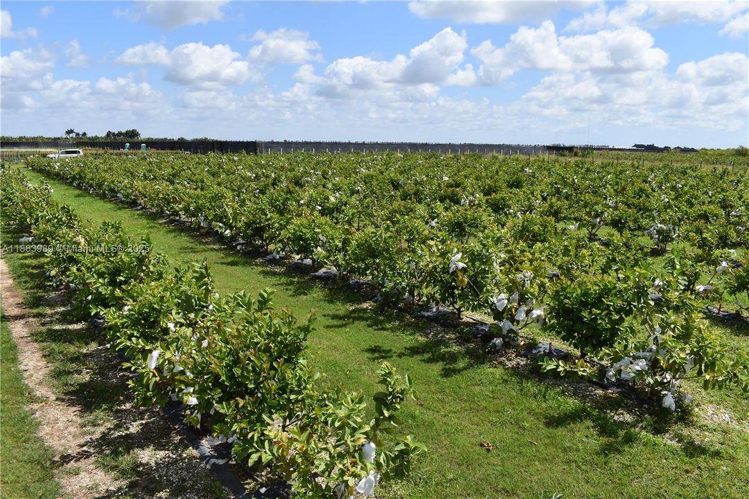 待售: $749,000 (0 贝兹, 0 浴室, 0 平方英尺)