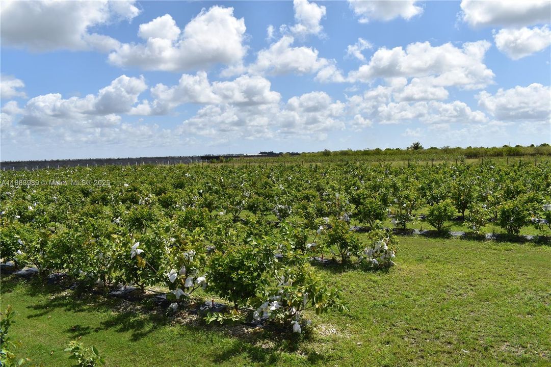 待售: $749,000 (0 贝兹, 0 浴室, 0 平方英尺)