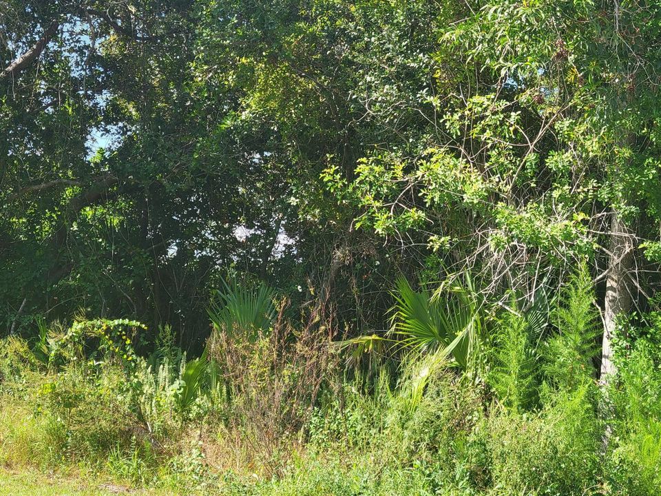 Kaabe14