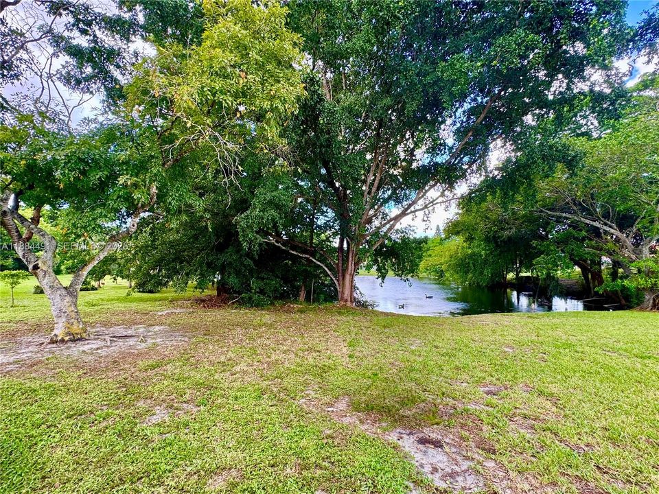 Large back yard, beyond fence - home & yard on the lake.