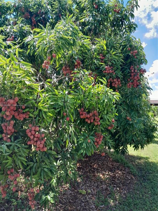 En Venta: $1,899,000 (4 camas, 4 baños, 2344 Pies cuadrados)