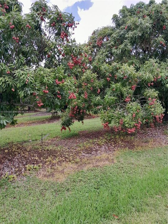 En Venta: $1,899,000 (4 camas, 4 baños, 2344 Pies cuadrados)