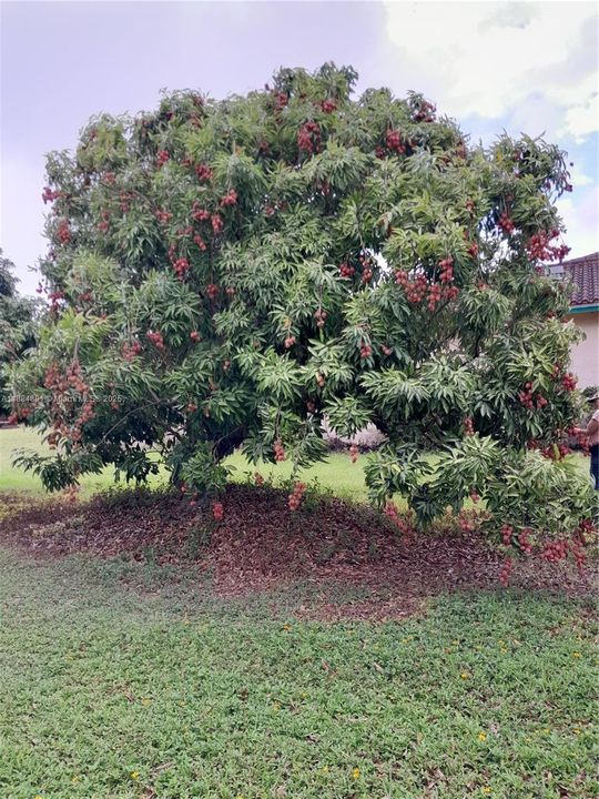 En Venta: $1,899,000 (4 camas, 4 baños, 2344 Pies cuadrados)