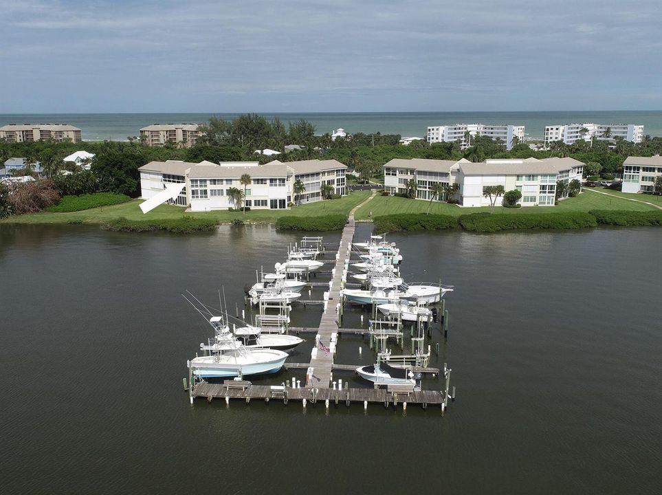 Arrow DJI_0786