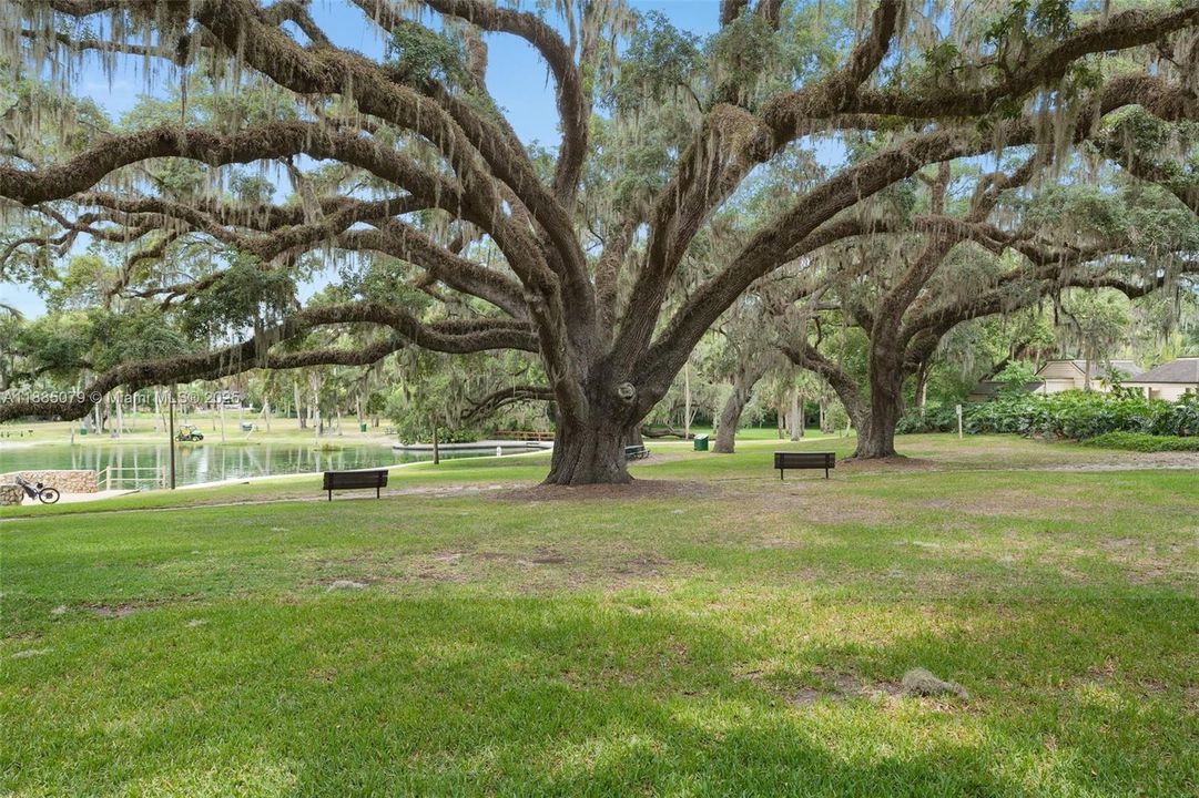 En Venta: $1,095,000 (3 camas, 2 baños, 2590 Pies cuadrados)