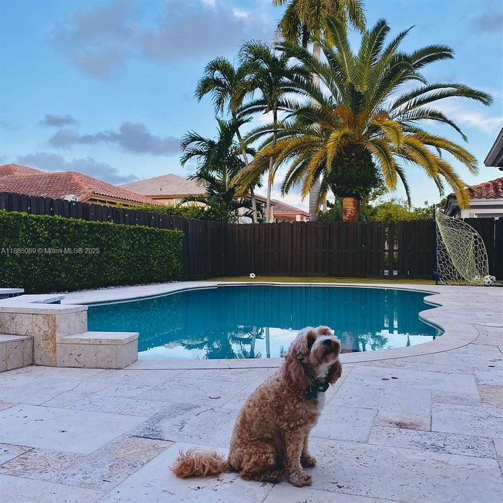 Active With Contract: $1,425,000 (4 beds, 3 baths, 3162 Square Feet)