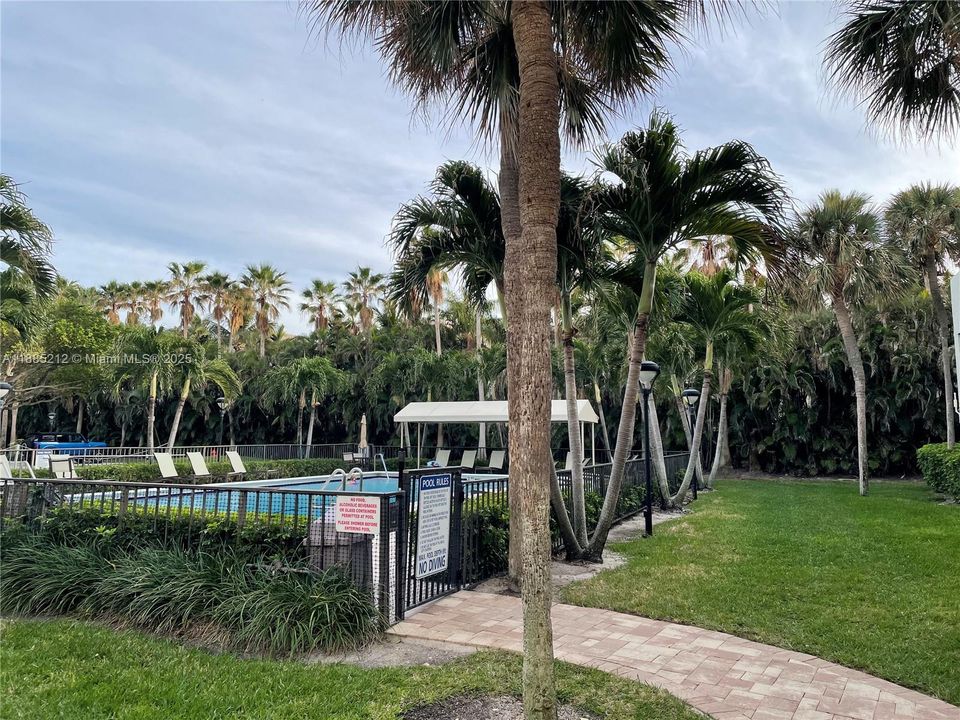 Swimming pool with green areas