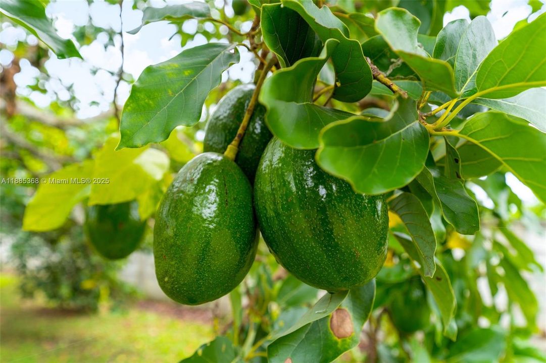 Vendido Recientemente: $1,300,000 (4 camas, 2 baños, 1691 Pies cuadrados)