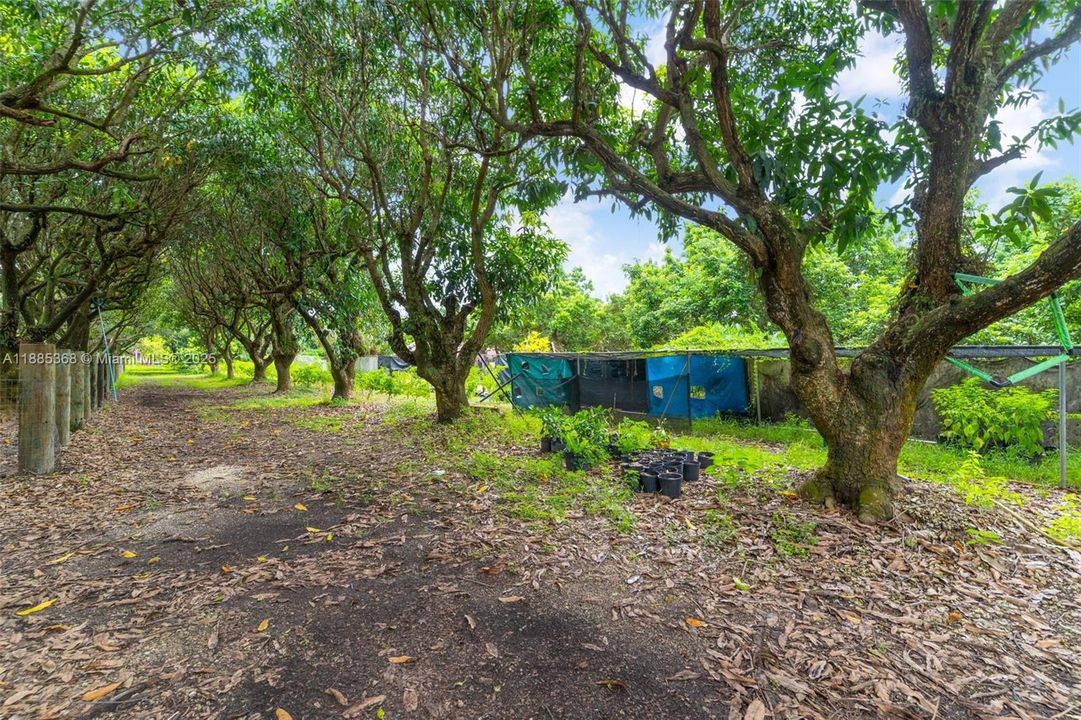 Vendido Recientemente: $1,300,000 (4 camas, 2 baños, 1691 Pies cuadrados)