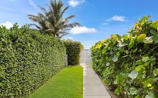 52_61-web-or-mls-et6a3553