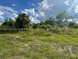 待售: $39,500 (0.33 acres)