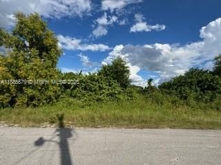 待售: $39,500 (0.33 acres)