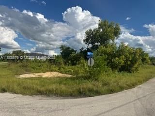 待售: $39,500 (0.33 acres)