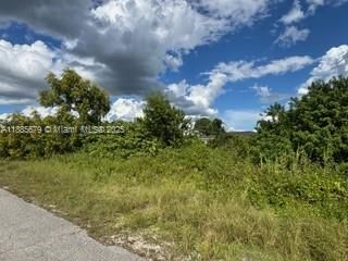 待售: $39,500 (0.33 acres)