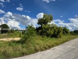 待售: $39,500 (0.33 acres)