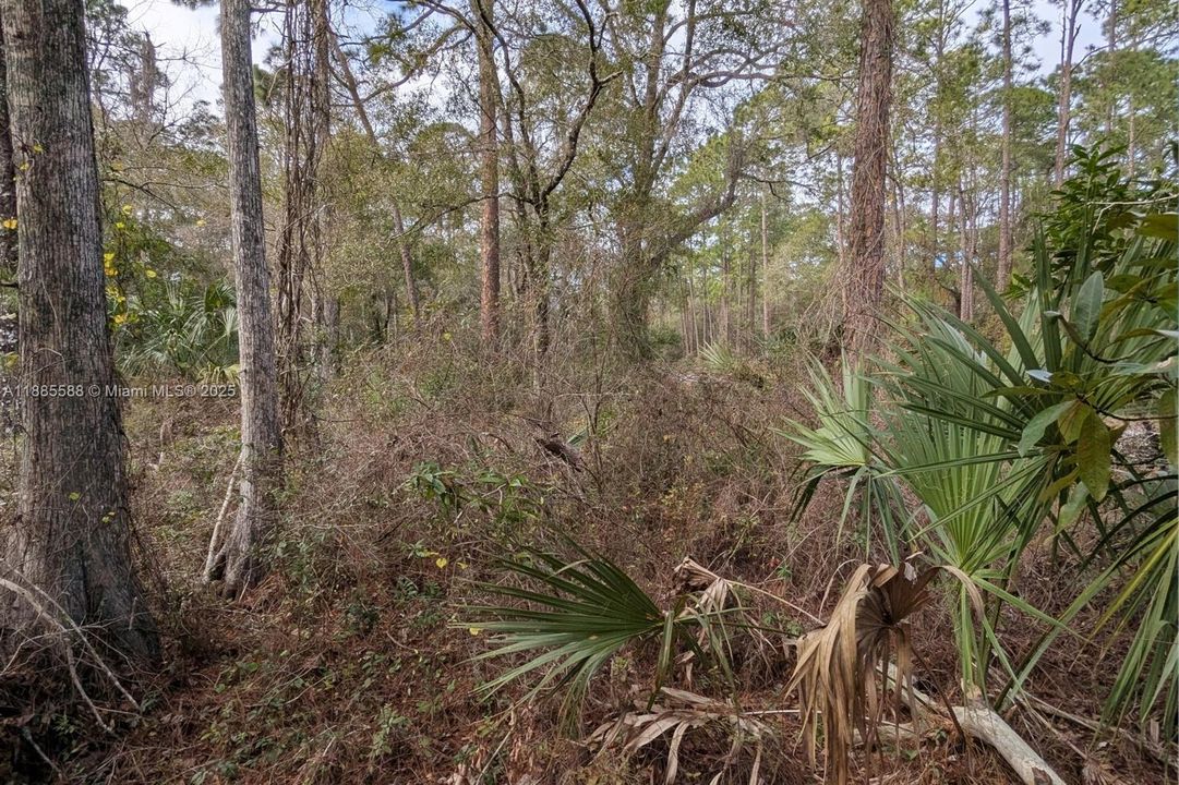 En Venta: $39,000 (1.16 acres)