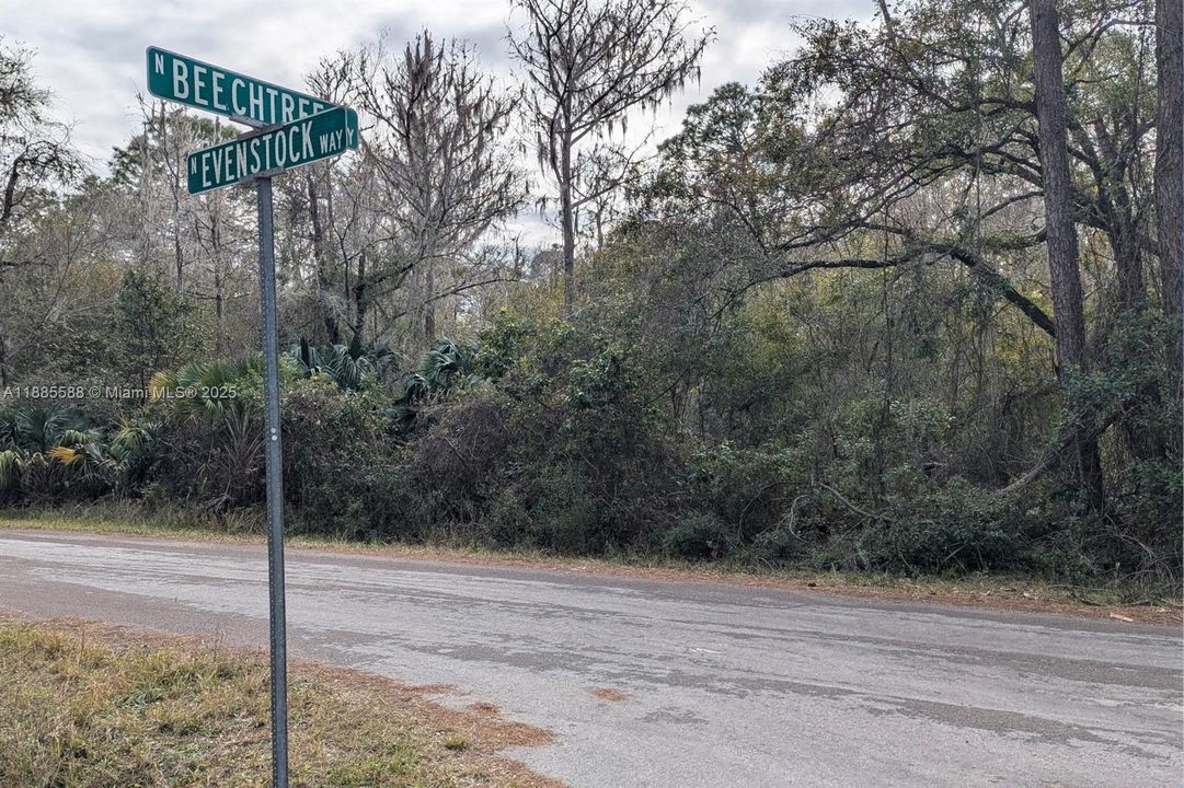 En Venta: $39,000 (1.16 acres)