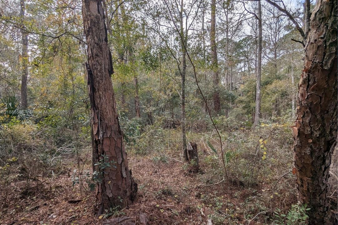 En Venta: $39,000 (1.16 acres)