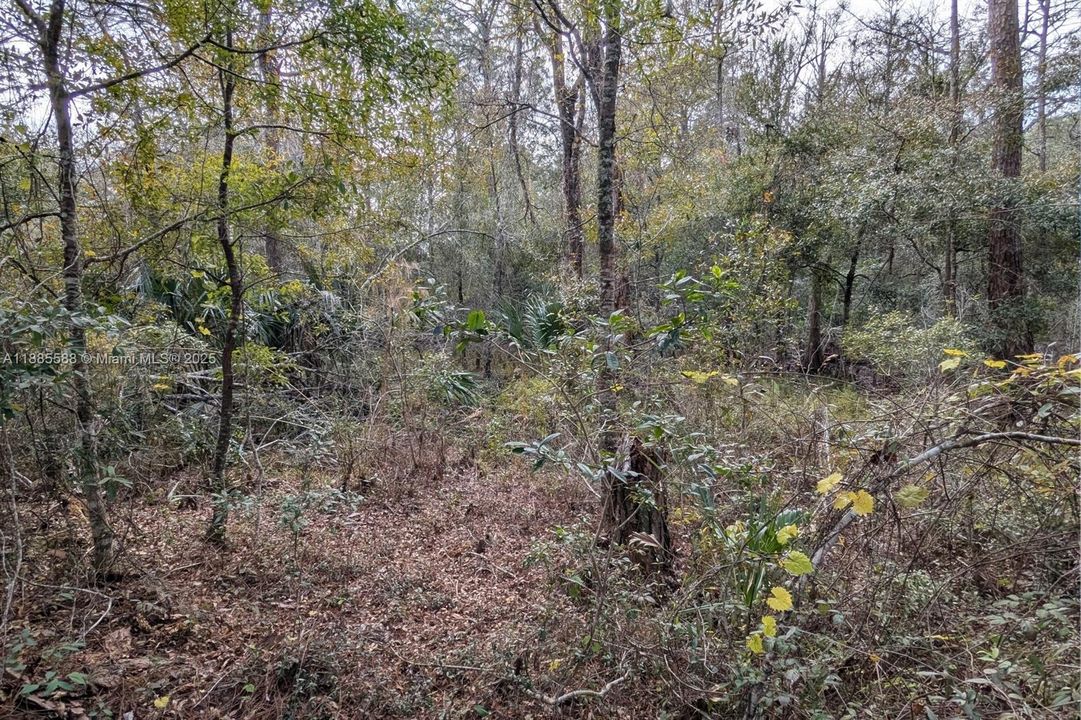 En Venta: $39,000 (1.16 acres)