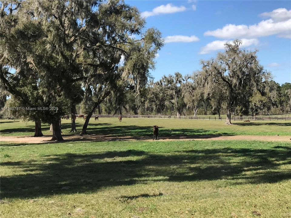 En Venta: $5,500,000 (0 camas, 0 baños, 0 Pies cuadrados)