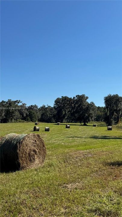 En Venta: $5,500,000 (0 camas, 0 baños, 0 Pies cuadrados)