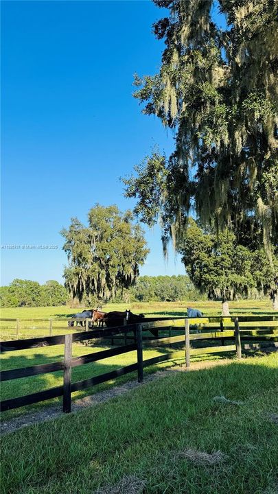 En Venta: $5,500,000 (0 camas, 0 baños, 0 Pies cuadrados)