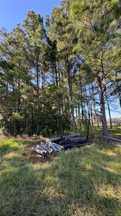 En Venta: $5,500,000 (0 camas, 0 baños, 0 Pies cuadrados)