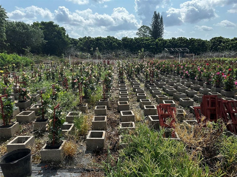 For Sale: $1,650,000 (0 beds, 0 baths, 0 Square Feet)