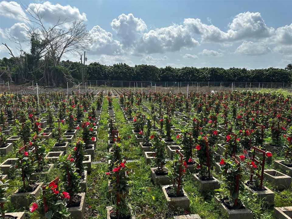 For Sale: $1,650,000 (0 beds, 0 baths, 0 Square Feet)