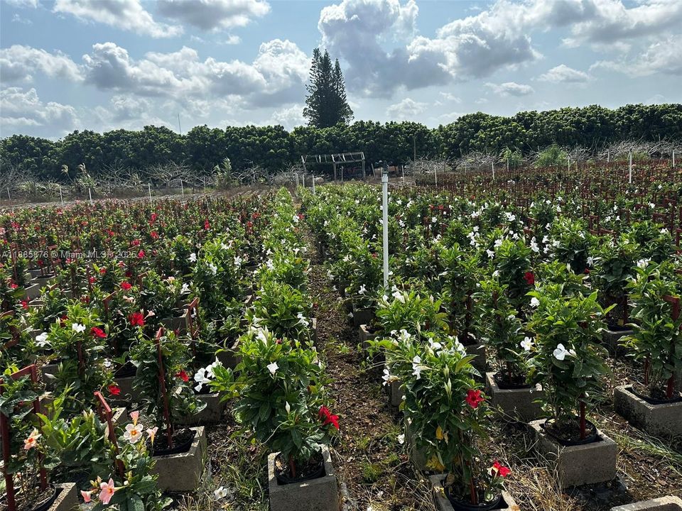 For Sale: $1,650,000 (0 beds, 0 baths, 0 Square Feet)