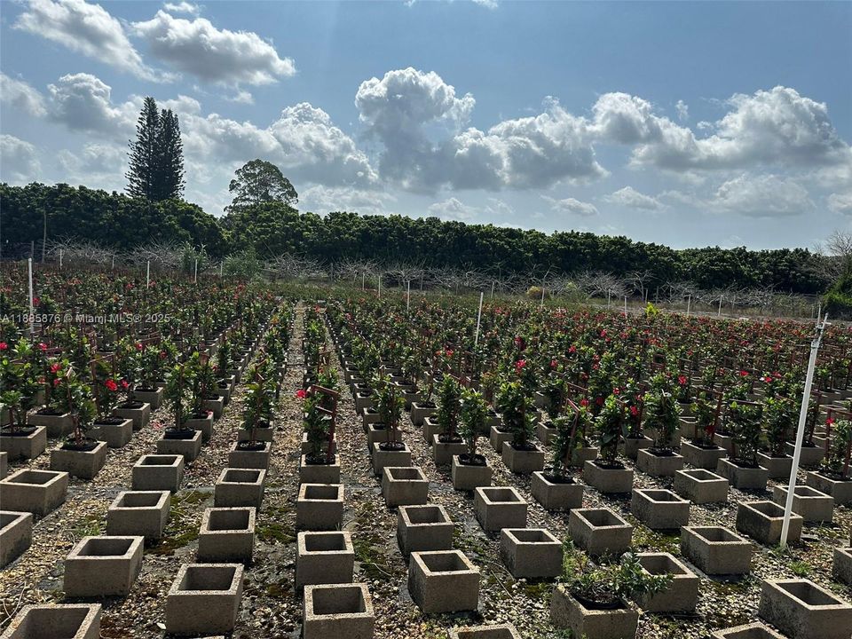 For Sale: $1,650,000 (0 beds, 0 baths, 0 Square Feet)