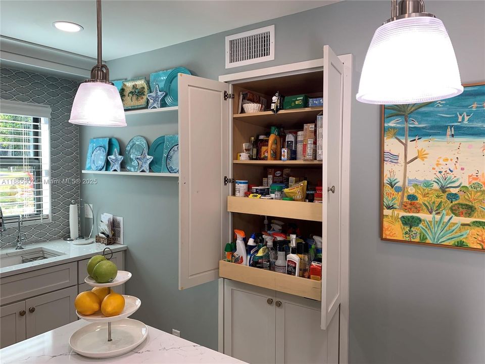Pantry with Slide Outs