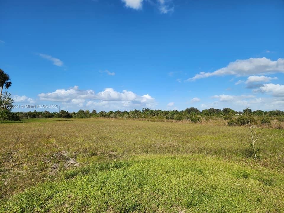 待售: $58,000 (1.25 acres)