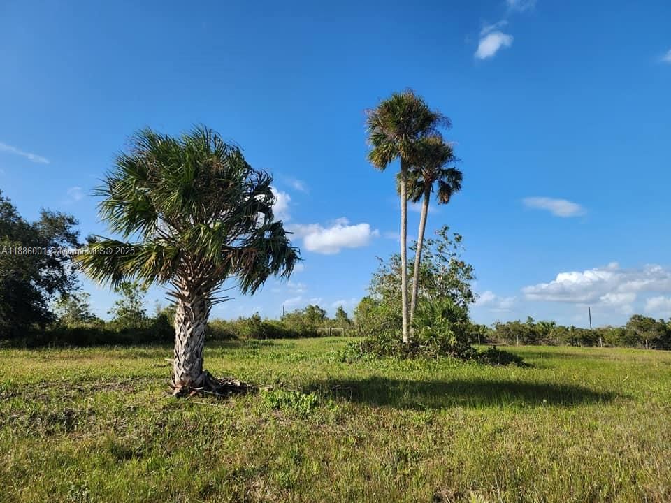 待售: $58,000 (1.25 acres)